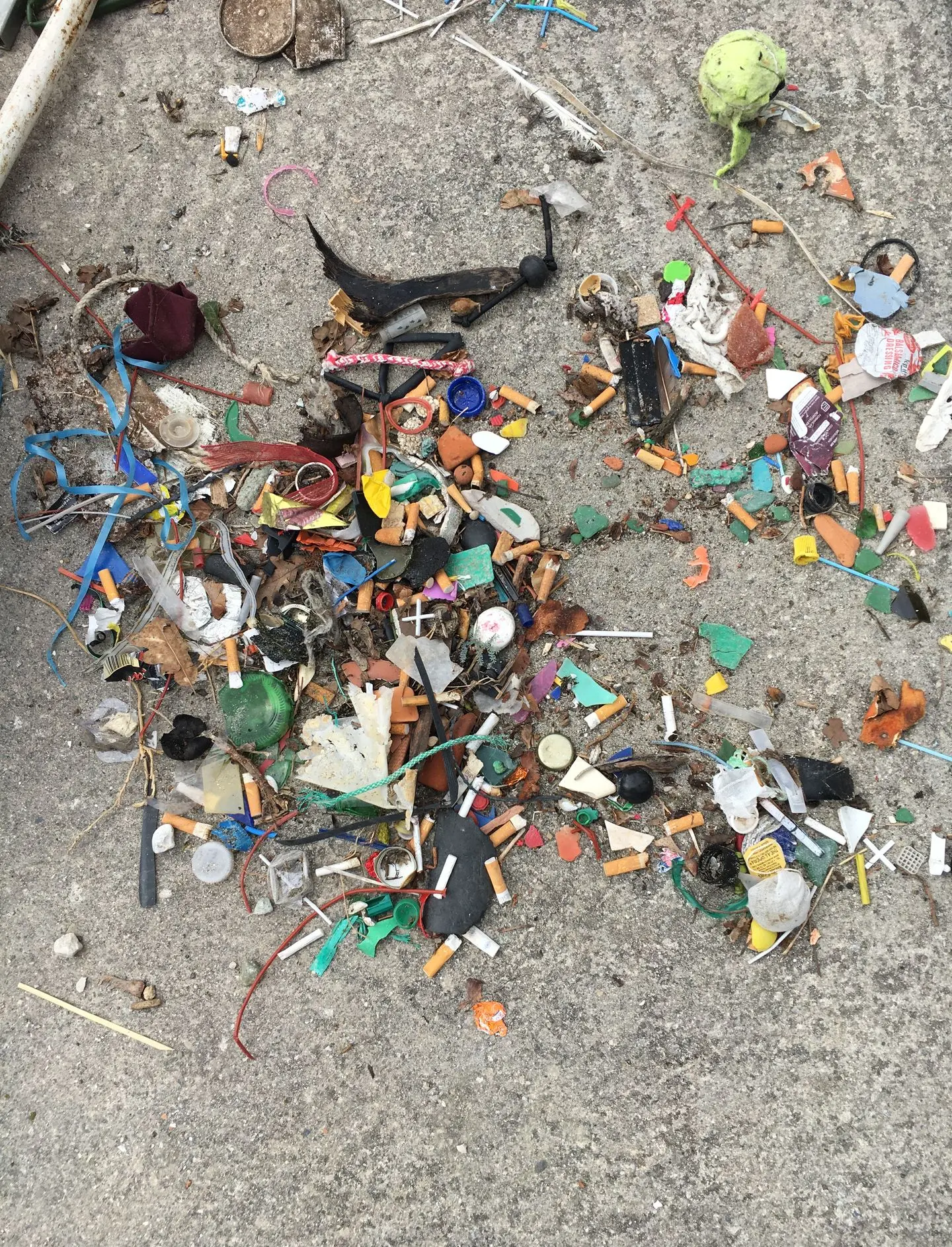 collecte de déchet