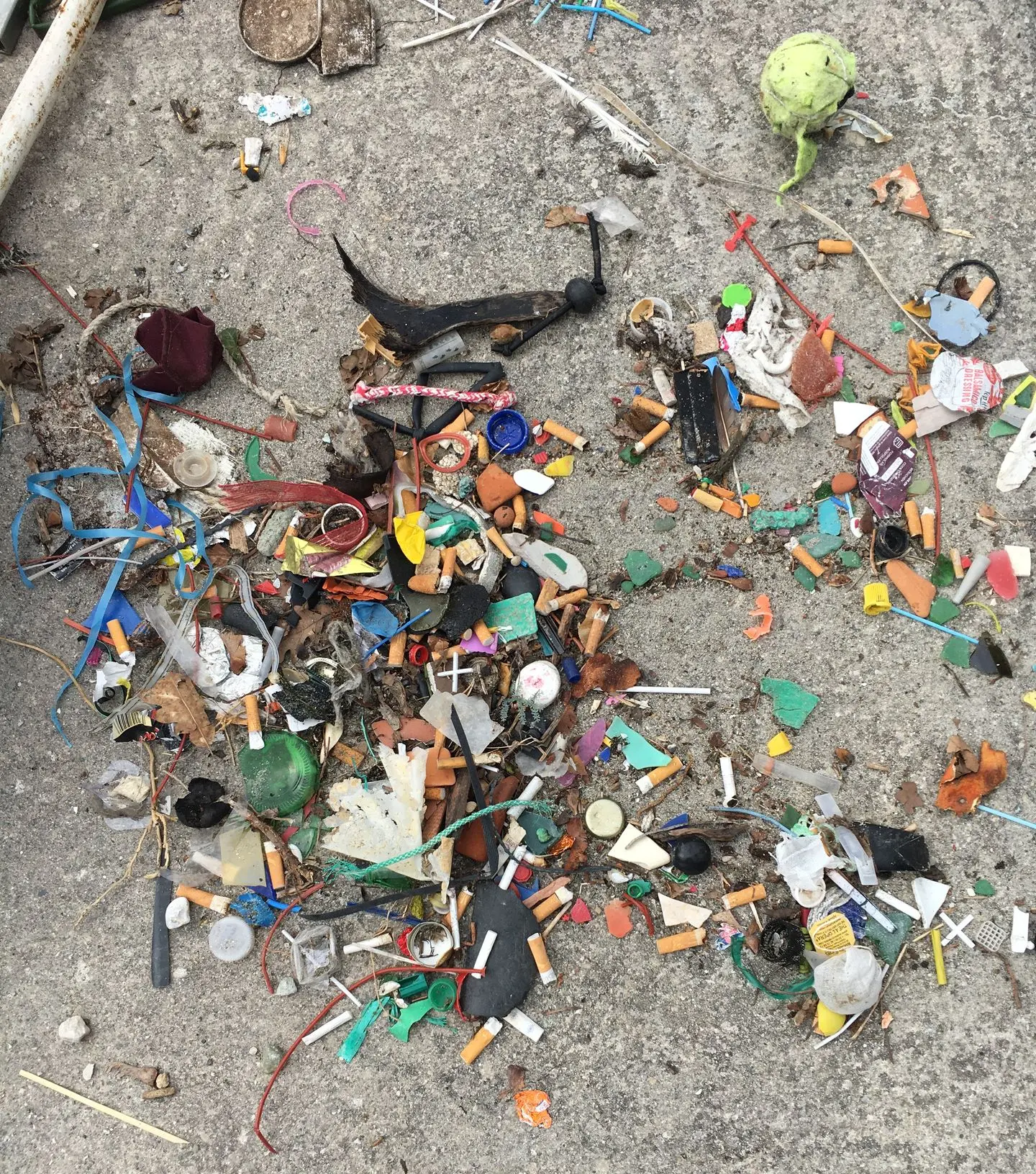 collect de déchet